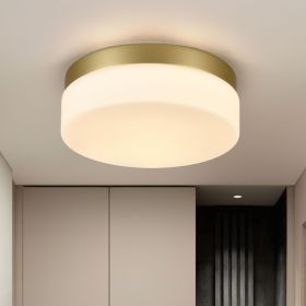 LED Flush Mount Ceiling Light Fixture – Modern Low-Profile Indoor Lighting