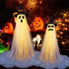 2-Pack Lighted Halloween Ghosts with Witch Hats and Remote