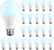 LED Light Bulbs, 60 Watt Equivalent LED Bulbs, Long Lifespan High Brightness 800LM Daylight White 5000K