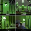 Red & Green LED Light Bulbs 2-Pack – 9W 60W Equivalent E26 Holiday Bulbs