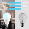 LED Light Bulbs, 60 Watt Equivalent LED Bulbs, Long Lifespan High Brightness 800LM Daylight White 5000K