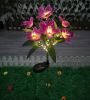 Solar Rose & Orchid Flower Lights – Waterproof LED Garden Landscape Lights