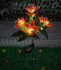 Solar Rose & Orchid Flower Lights – Waterproof LED Garden Landscape Lights