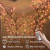 LED Tree Branch Wall Lights – Decorative Lighted Branch Décor