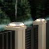 8-LED Solar Outdoor Wall Light for Garden & Courtyard | Solstice Home Lighting