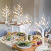 2 FT Lighted Birch Tree with LED Fairy Lights – Indoor Christmas Decoration