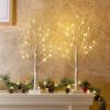 2 FT Lighted Birch Tree with LED Fairy Lights – Indoor Christmas Decoration